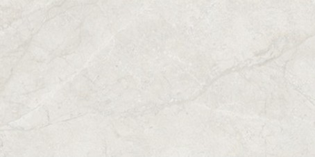 ZESTY GREY 600X1200